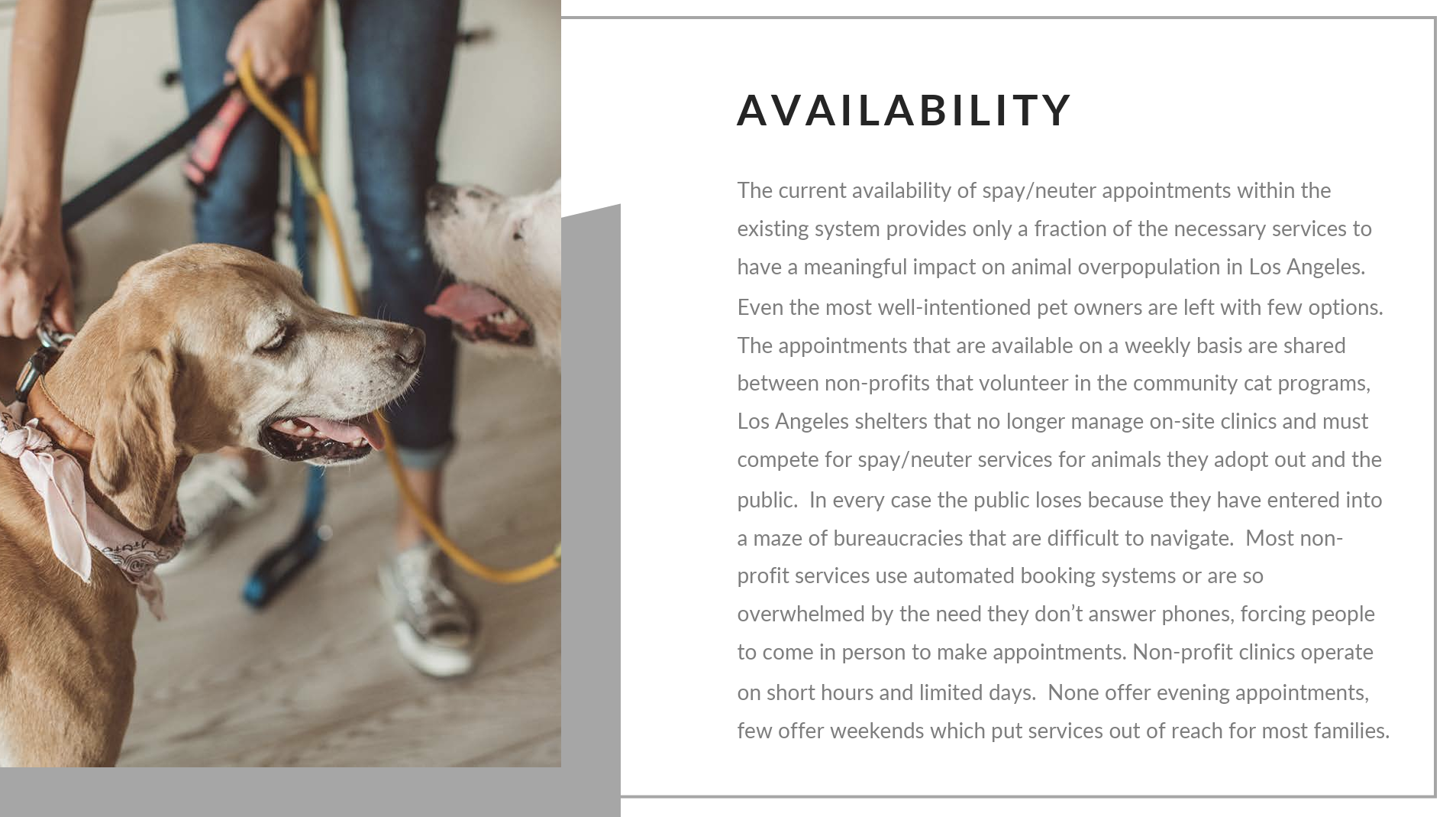 spay_la_availability